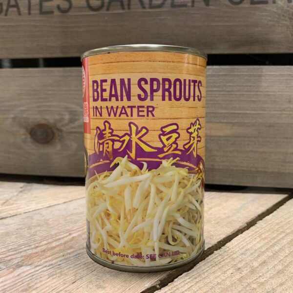 Double Happiness Bean Sprouts in water 425g