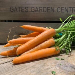 English Bunch Carrots