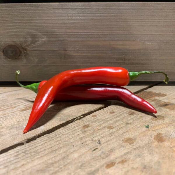 Chillies Red (3 pack)