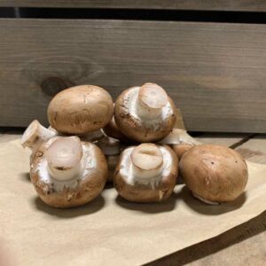 Mushroom Chestnut