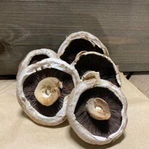 Mushrooms Flat