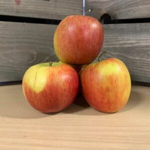 Apple Braeburn (Price each)