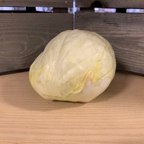 Cabbage White (Price each)