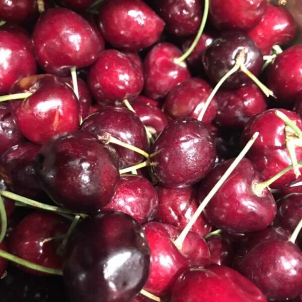 cherrys per kg