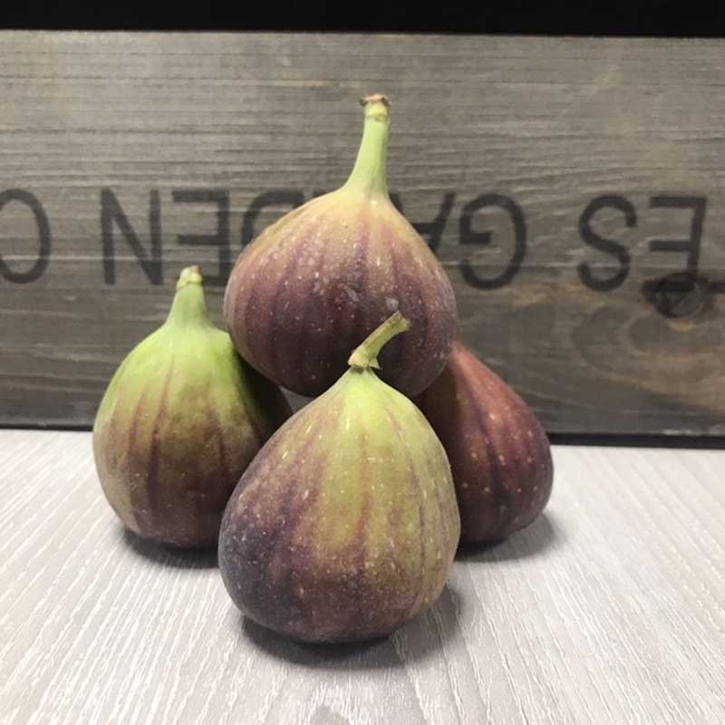 Fresh Figs (Price each)