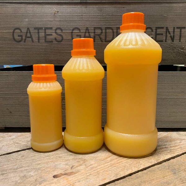 Freshly Squeezed Orange Juice Bottles