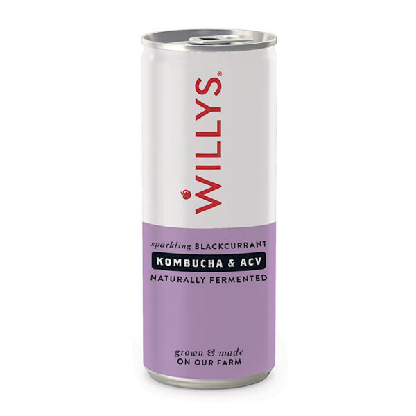 Willy's Sparkling Blackcurrant (250ml)