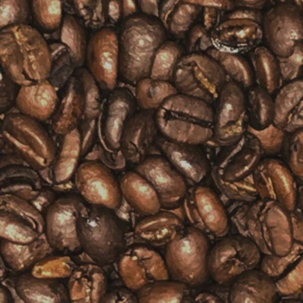 Tudor Rainforest Coffee Beans 1kg
